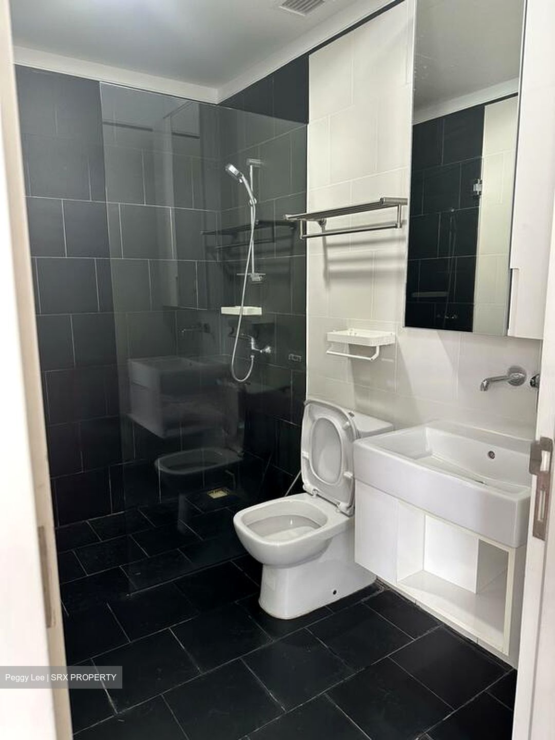 Village @ Pasir Panjang (D5), Condominium #447302291